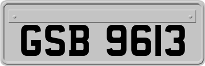 GSB9613