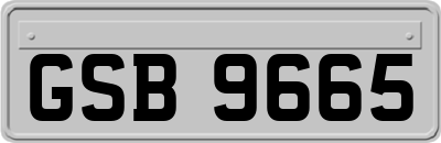 GSB9665