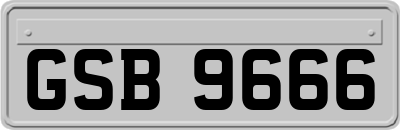 GSB9666