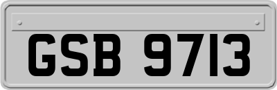 GSB9713