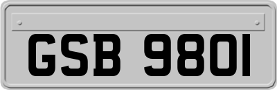 GSB9801