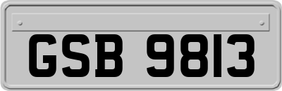 GSB9813