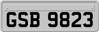 GSB9823
