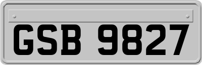 GSB9827