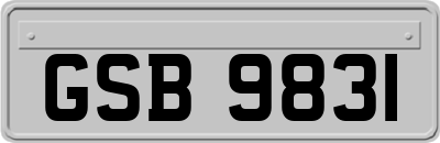 GSB9831