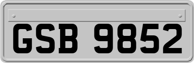 GSB9852