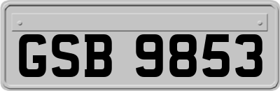 GSB9853