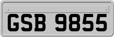 GSB9855