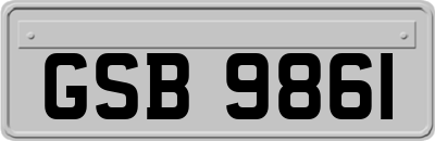 GSB9861