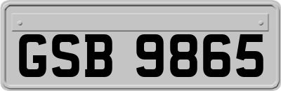 GSB9865