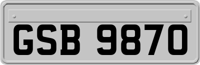 GSB9870