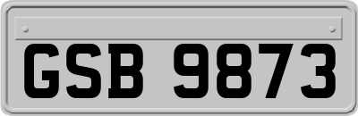 GSB9873