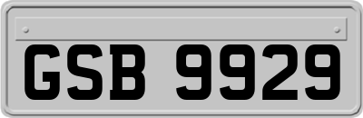 GSB9929