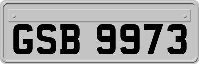 GSB9973