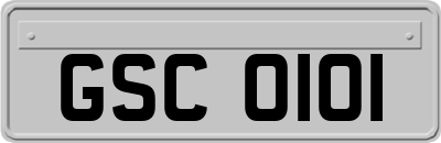 GSC0101