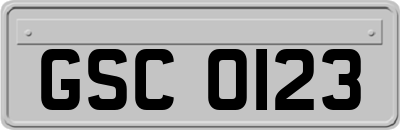 GSC0123