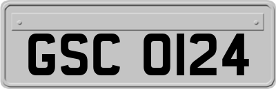 GSC0124
