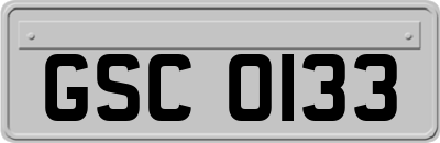 GSC0133