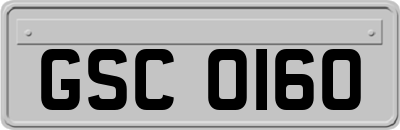 GSC0160