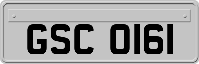 GSC0161
