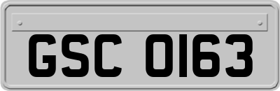 GSC0163