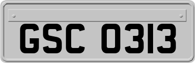 GSC0313