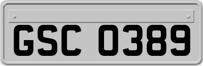 GSC0389