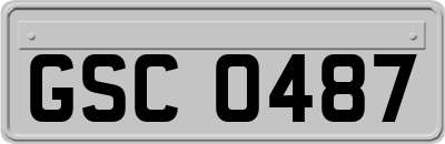 GSC0487
