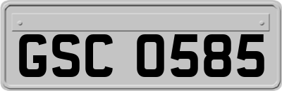 GSC0585