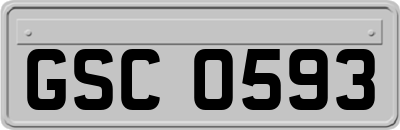 GSC0593