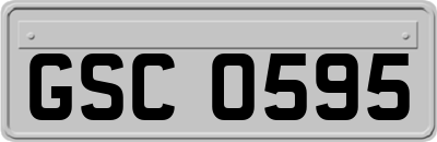 GSC0595