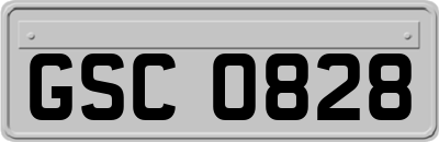 GSC0828