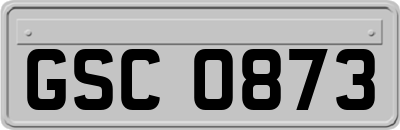 GSC0873