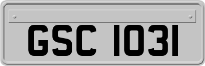 GSC1031