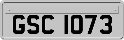 GSC1073