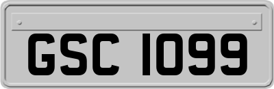 GSC1099