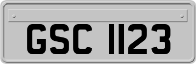 GSC1123