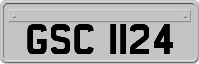 GSC1124
