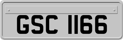 GSC1166