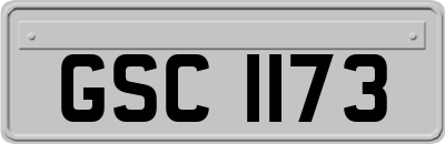 GSC1173