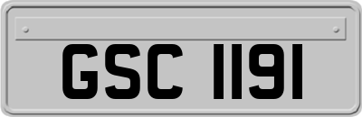 GSC1191