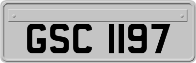 GSC1197