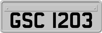 GSC1203