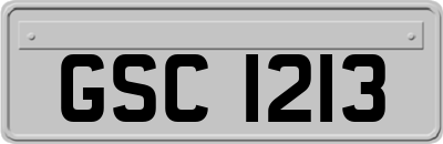 GSC1213