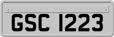 GSC1223
