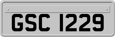 GSC1229