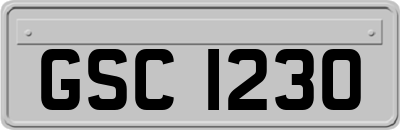 GSC1230