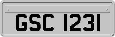 GSC1231