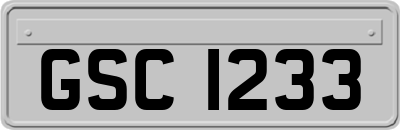GSC1233
