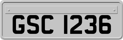 GSC1236